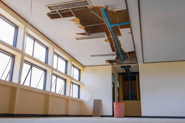 Best Water damage restoration near me  in Ashville, OH