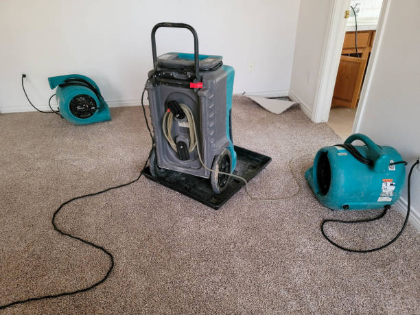 Best Fire Damage Restoration  in Ashville, OH