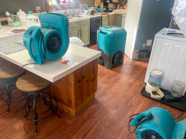 Best Flood damage cleanup  in Ashville, OH