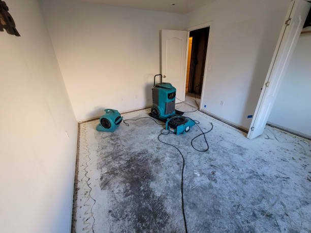 Best Water damage repair service  in Ashville, OH
