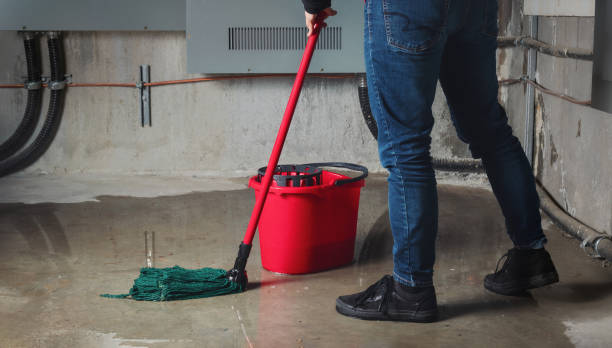  Ashville, OH Water damage restoration Pros