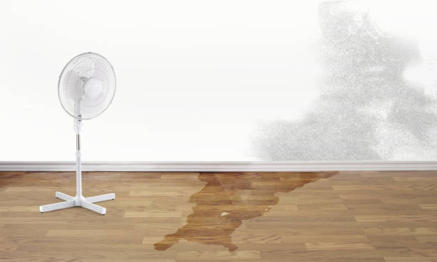 Best Local water damage restoration  in Ashville, OH
