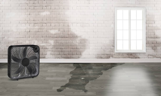 Best Residential water damage restoration  in Ashville, OH