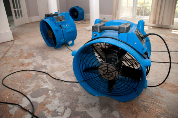 Best Flood damage cleanup  in Ashville, OH