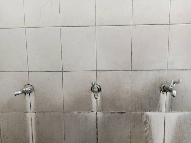 Best Water damage contractors near me  in Ashville, OH