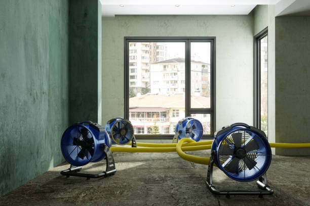 Best Water damage cleanup near me  in Ashville, OH